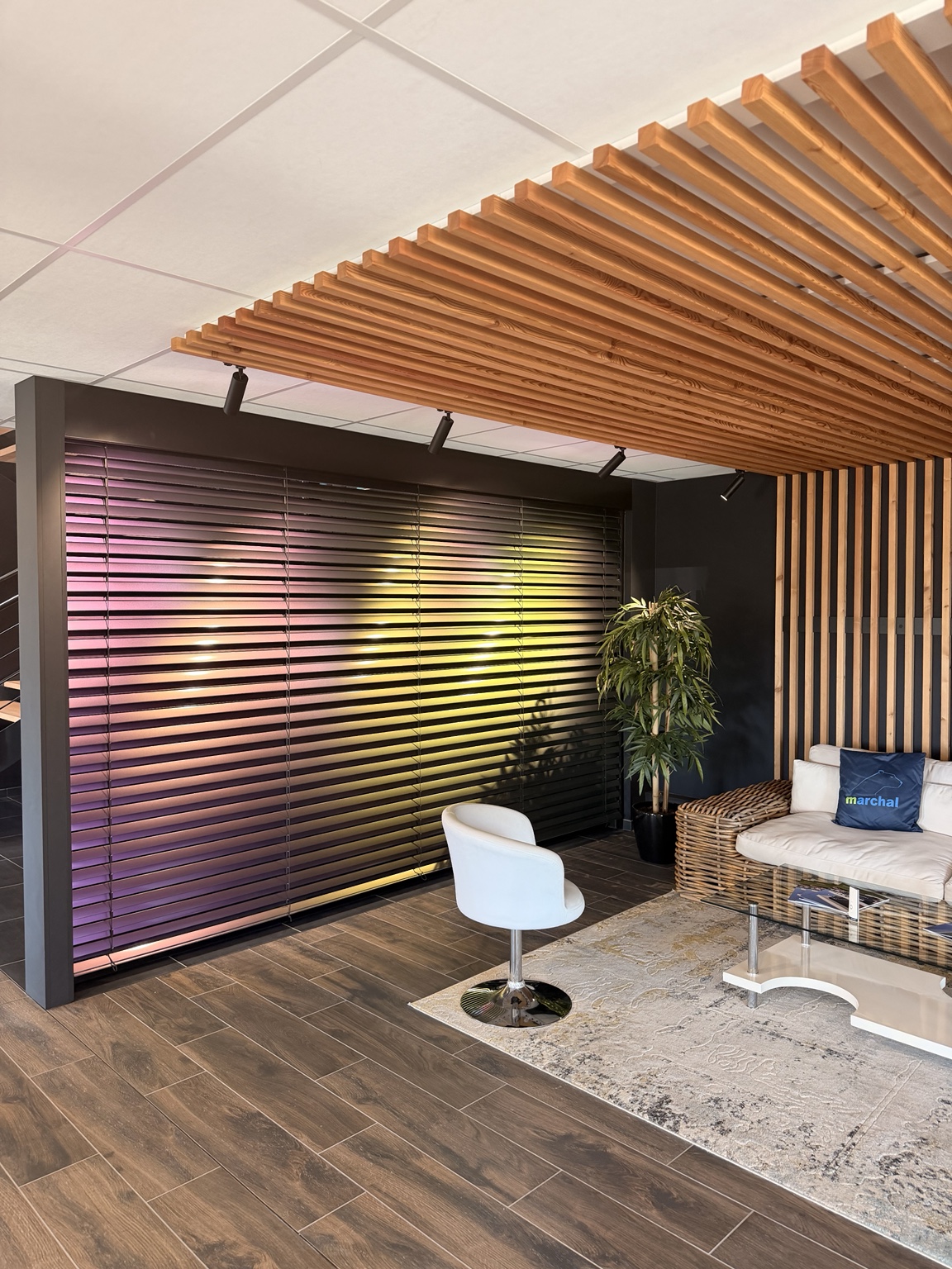 Showroom Marchal : volet roulant éclairé et espace salon